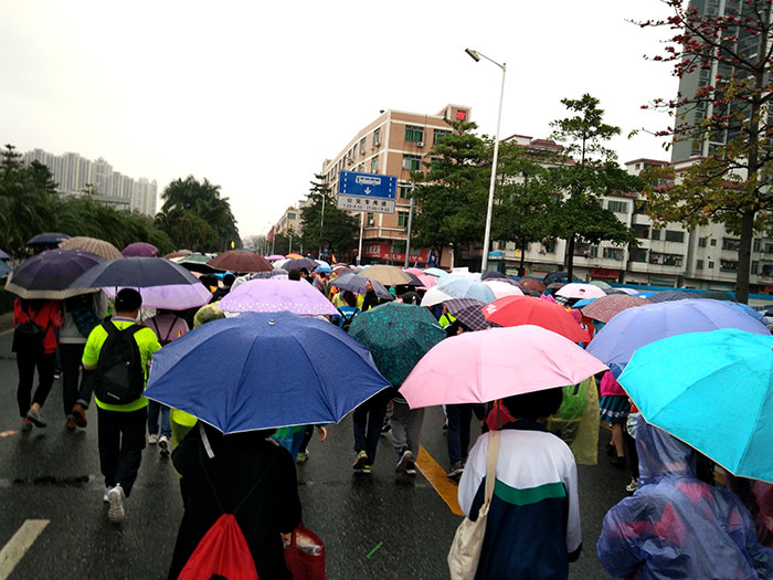 2017美麗佛山50KM徒步